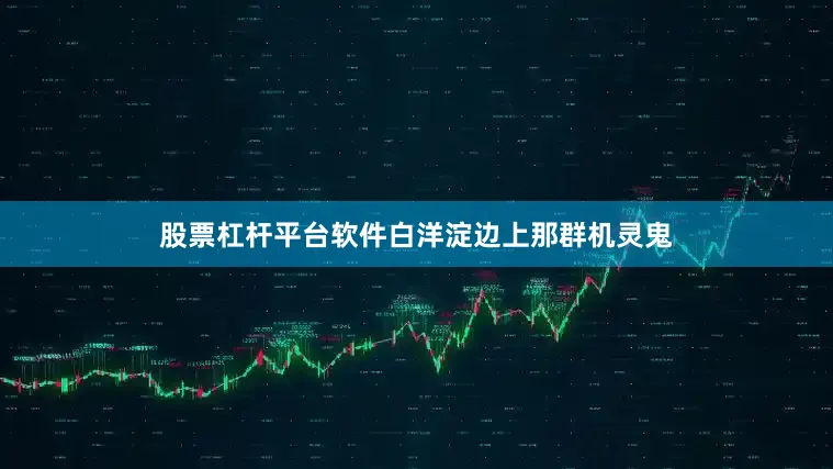 股票杠杆平台软件白洋淀边上那群机灵鬼
