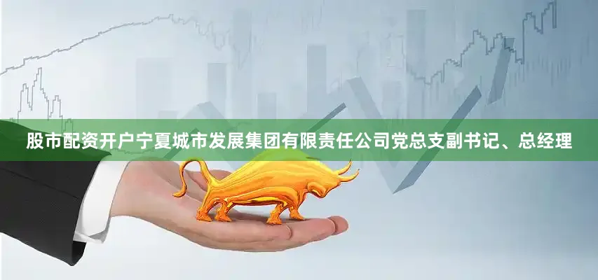 股市配资开户宁夏城市发展集团有限责任公司党总支副书记、总经理